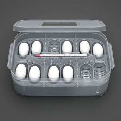 Reptielen eierdoos Reptielen eierdoos Reptielen kweekdoos Reptielen incubatie With thermometer