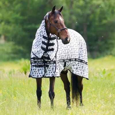 Paardenvliegendeken HV Polo Nena AOP