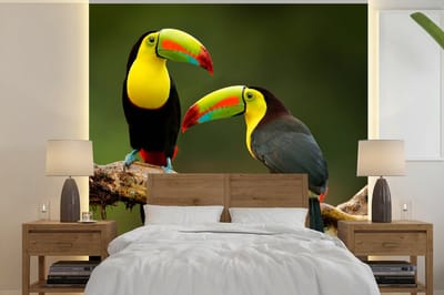 Behang - Fotobehang Vogels - Toekan - Tak - Dieren - Regenboog - Breedte 220 cm x hoogte 220 cm