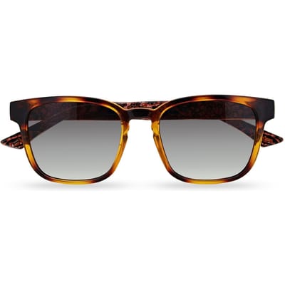Ted Baker TB1635 Surf 122 polished dark tortoise grey gradient zonnebril