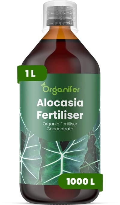 Vloeibare Meststof Voor Alocasia - 1 L Voor 1000 L - Npk 2-1-8 - Voor Тropische Bladplanten - Rechtopstaande Groei - Krachtige Wortelgroei - Weinig Licht - Droogtebestendig Waterregulatie - Organifer