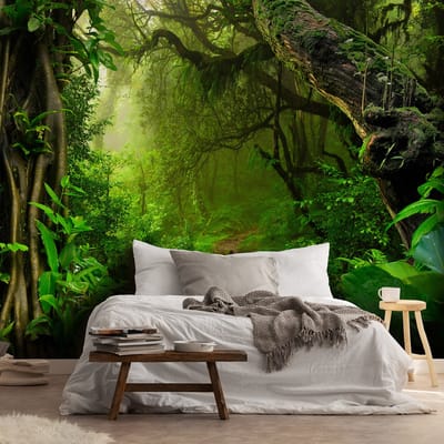 Fotobehang - Jungle - Brug - Natuur - Vliesbehang - (368 x 254 cm)