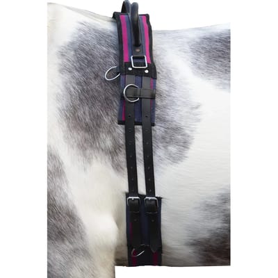 Paardensurfplank met handvat HKM Canvas
