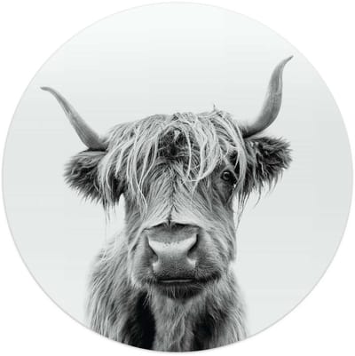 Glasschilderij Schotse Hooglander - Ø 50 - Glas - REINDERS