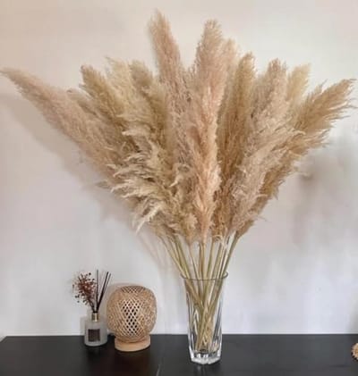 Gedroogde bloemen boeket van 15 stuks pampasgras van 100 cm - XXL boho woondecoratie en wanddecoratie