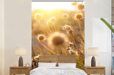 Behang - Fotobehang Planten - Natuur - Bloemen - Zon - Horizon - Breedte 200 cm x hoogte 300 cm