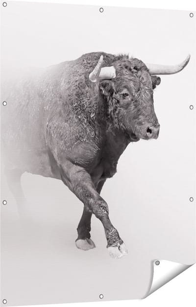 Gards Tuinposter Stier op een Grijze Achtergrond - Zwart Wit - 90x120 cm - Tuindoek - Tuindecoratie - Wanddecoratie buiten - Tuinschilderij