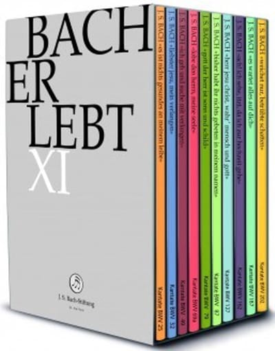 Choir & Orchestra Of The J.S. Bach Foundation, Rudolf Lutz - J.S. Bach: Bach Erlebt XI (11 DVD)