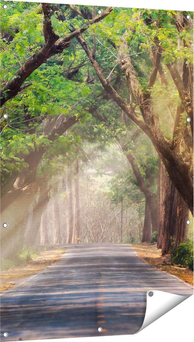 Gards Tuinposter Weg Omringd met Bomen - 80x120 cm - Tuindoek - Tuindecoratie - Wanddecoratie buiten - Tuinschilderij