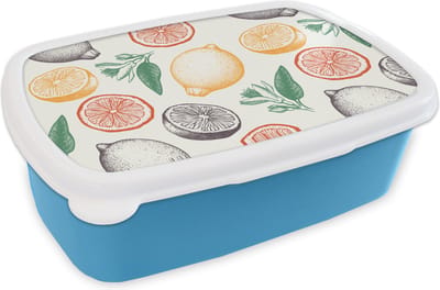Broodtrommel Blauw - Lunchbox - Brooddoos - Fruit - Vintage - Keuken - Patronen - 18x12x6 cm - Kinderen - Jongen