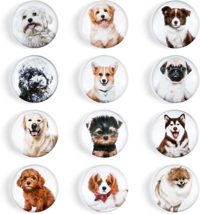 Kleurrijke en Schattige Honden Magneten voor de Koelkast - 12 Stuks Decoratieve Magneten voor Keuken en Huisdecoratie