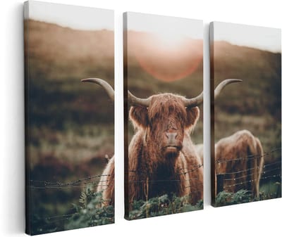 Artaza Canvas Schilderij Drieluik Schotse Hooglander Koe In De Zon - 120x80 - Foto Op Canvas - Canvas Print