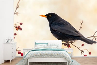 Behang - Fotobehang Merel - Vogel - Takken - Bes - Rood - Breedte 360 cm x hoogte 240 cm