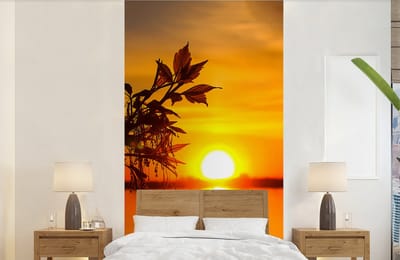 Behang - Fotobehang Zonsondergang - Water - Planten - Oranje - Breedte 120 cm x hoogte 240 cm