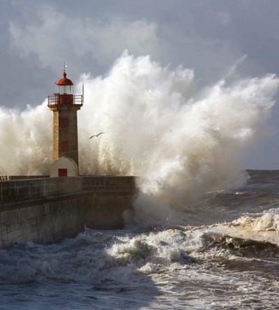 Fotobehang - Lighthouse 225x250cm - Vliesbehang