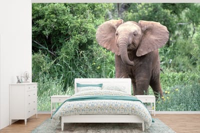 Behang - Fotobehang Baby olifant in het gras met gele bloemen - Breedte 375 cm x hoogte 240 cm