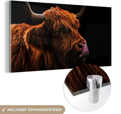 MuchoWow® Glasschilderij 40x20 cm - Schilderij acrylglas - Schotse Hooglander - Tong - Neus - Foto op glas - Schilderijen