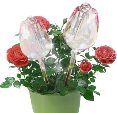 Irrigatieballen voor Planten - Zelfbewatering Waterdispenser voor Binnen en Buiten - 2 Stuks