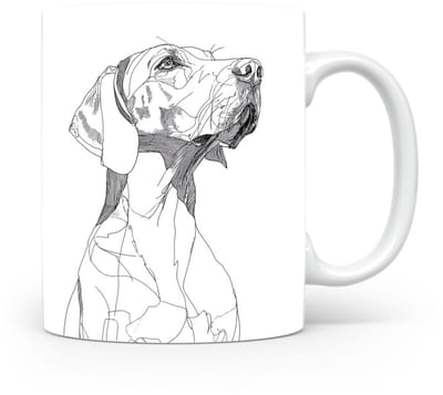 Beker Pointer