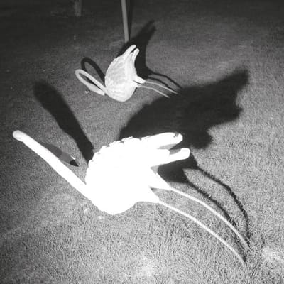 Siavash Amini - A Mimesis Of Nothingness (LP) (Coloured Vinyl)