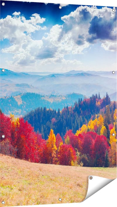 Gards Tuinposter Kleurrijke Herfstbos met Heuvellandschap - 80x120 cm - Tuindoek - Tuindecoratie - Wanddecoratie buiten - Tuinschilderij