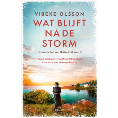 Wat Blijft Na De Storm - De Kronieken Van Britta Eriksson - Vibeke Olsson