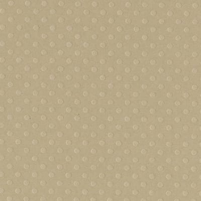 Textuur vel Dotted rope swin - 30x30 cm - Bazzill - 25 Vellen