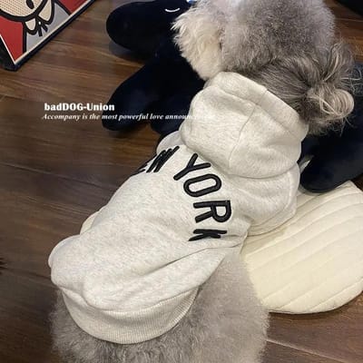 Sweat à capuche à lettres Vêtements pour animaux de compagnie Chiens Mode Coton Vêtements pour chiens Costume Petit Bouledogue Français Imprimé Printemps Automne Gary Garçon Mascottes S(1.5kg-2.5kg) black