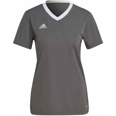 adidas Performance Entrada 22 Voetbalshirt - Dames - Grijs - S