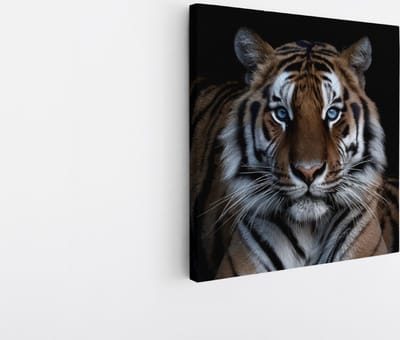 Saammp Canvas Schilderij - Tijger Met Blauwe Ogen - Natuur - Dieren - 20x20 - Foto op canvas - Wanddecoratie - muurdecoratie Woonkamer - Slaapkamer decoratie - Canvas Print