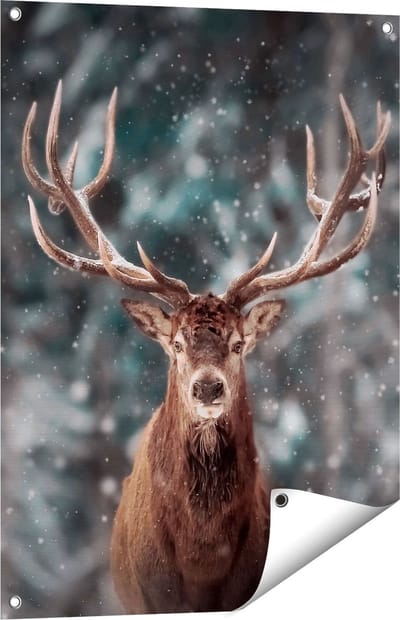 Gards Tuinposter Hertenkop - Hert in de Sneeuw - 60x80 cm - Tuindoek - Tuindecoratie - Wanddecoratie buiten - Tuinschilderij