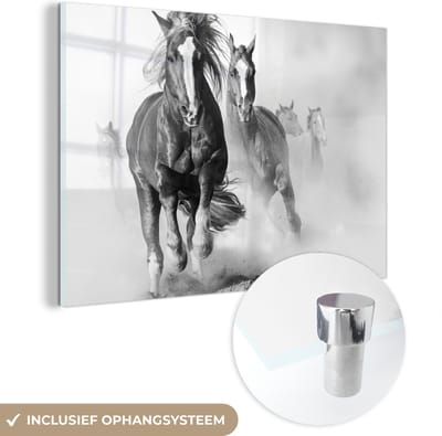 MuchoWow® Glasschilderij 60x40 cm - Schilderij acrylglas - Paarden - Dieren - Illustratie - Foto op glas - Schilderijen