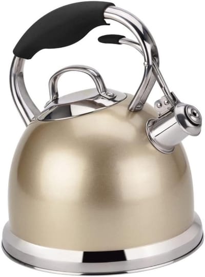 Fluitende Waterkoker - Theepot Kookplaat - Water Koken - Grote Inhoud - 3 Liter - Zilver