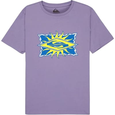 Quiksilver Starfish Stamp T-shirt Met Korte Mouwen Paars 16 Years Jongen