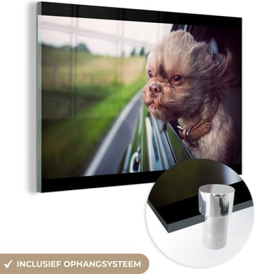 MuchoWow® Glasschilderij 60x40 cm - Schilderij acrylglas - Hond - Auto - Dier - Foto op glas - Schilderijen