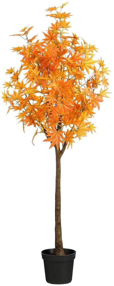 Mica Decorations Kunstplant Maple leaf - 55x55x150 cm - Polyester - Oranje
