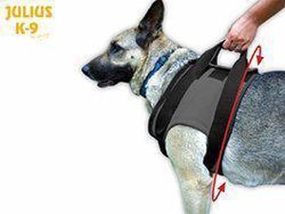 WERELD BEKENDE JULIUS K9 TUIG VOOR GEHANDICAPTE HOND VOORKANT MAAT: S