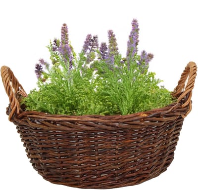 Mega Collections plantenmand Santa Fe - met handgreep - rotan - D35 x H15 cm
