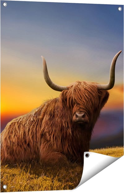 Gards Tuinposter Schotse Hooglander Koe op een Heuvel - 60x80 cm - Tuindoek - Tuindecoratie - Wanddecoratie buiten - Tuinschilderij