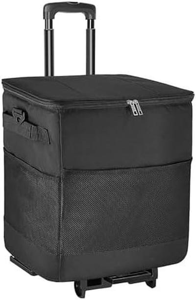 Compacte Koelbox - Geïsoleerde Ijsbox - Outdoor Avonturen - Met Wielen & Handvat - 35 Liter - Zwart