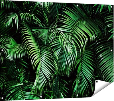 Gards Tuinposter Tropische Palm Bladeren - Groen - 120x90 cm - Tuindoek - Tuindecoratie - Wanddecoratie buiten - Tuinschilderij