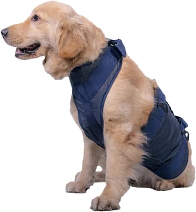 Huisdier Hulpgordel - Honden Riem - Ondersteunen Honden - Verstelbaar Oxford Doek - Maat S - Blauw