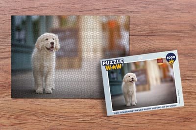 Puzzel Een Golden Retriever puppy lopend op de stoep - Legpuzzel - Puzzel 1000 stukjes volwassenen