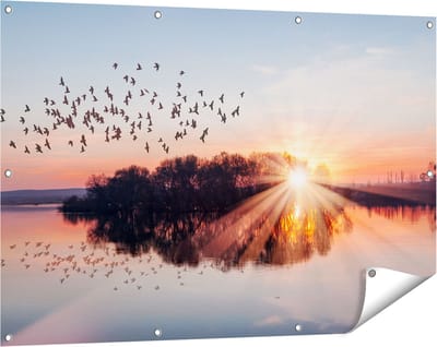 Gards Tuinposter Groep Vogels Boven de Meer met Zonsondergang - 120x80 cm - Tuindoek - Tuindecoratie - Wanddecoratie buiten - Tuinschilderij