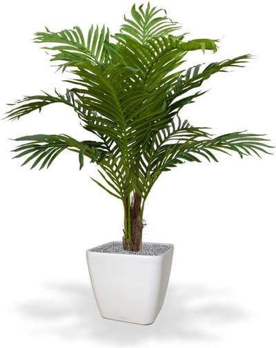 Paradize kunstpalm Promo 100cm