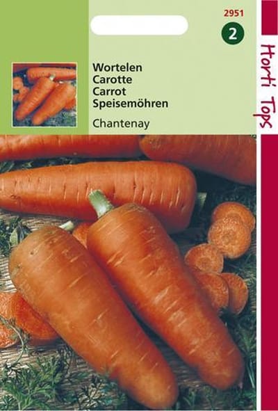 Hortitops Zaden - Wortelen Chantenay