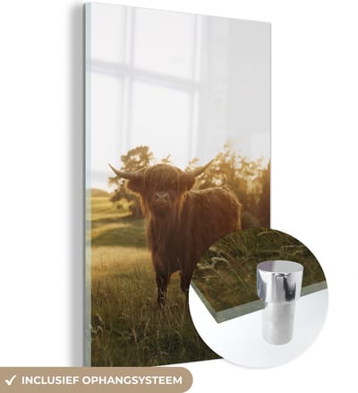 MuchoWow® Glasschilderij 120x180 cm - Schilderij acrylglas - Schotse hooglander - Gras - Zon - Foto op glas - Schilderijen