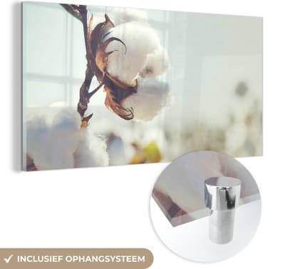 MuchoWow® Glasschilderij 40x20 cm - Schilderij acrylglas - Planten - Bloem - Tak - Natuur - Foto op glas - Schilderijen