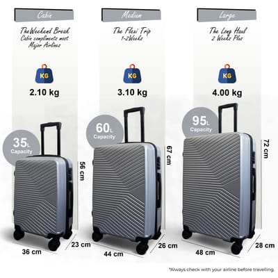 Harde zilveren koffer, robuuste 8-wiel bagage, handbagagetas