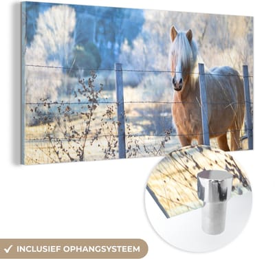 MuchoWow® Glasschilderij 40x20 cm - Schilderij acrylglas - Paard - Winter - Sneeuw - Foto op glas - Schilderijen